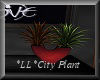 *LL*City Plant