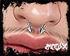 Ot. Piercing Septo X