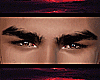 H | Legion Brows