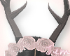 {J} P-Rose Antlers