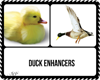 Duck Enhancers