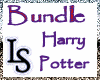 H.Potter_Fanatic_Bundle