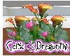 CD Calla Lily flower