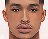 Gord MH Head
