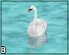 Swan Floating Reflective