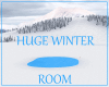 Huge Winter Room