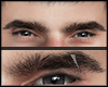 s. Eyebrows  Stark