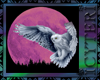 [IT] Moonglow Owl