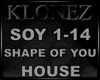 House - Shape Of You