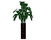 B's Tropical Plant 2