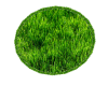 (MC) Grass Patch Rug