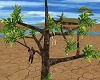 Monkey Tree Animated