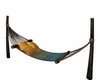 C* Beach Hammock C* Beach Hammock