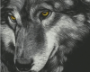 6v3| Wolf 🐺