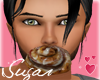Cinnamon Bun (M)
