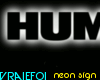 VF-Hummer- neon sign