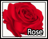 Red Rose
