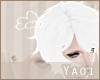 (y) Shiro| Hair