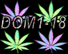 DOM DOM