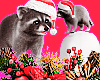 Xmas Racoon Accessory