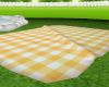 e_picnic blanket