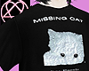 @Missing Cat