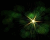 GREEN/ FOREST