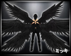 ! Tripe Black Wings #Ani