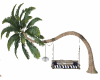 palm tree swing