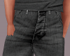 Gray Jeans Pants N49