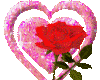 {*Pink Heart, Red Rose*}