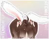 ❄ Fluffy Bunny Peach