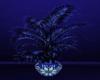 blu lux plant