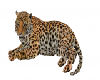 Gig-Cuddle Leopard Ani