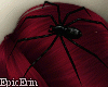 {E} Black Widow Spider v