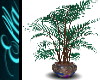 Willow Leaf