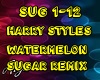 Harry Styles Watermelon