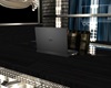 ~SL~ RSE Laptop