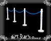 DJL-Wedding Rope BluPlat