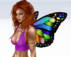 Small butterfly wings 01