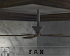 Nobody's Fan
