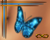 [CFD]Blue Butterfly