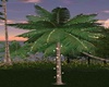 Tropical Lit Palm