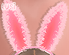 ♥ Bunny Ears Pink