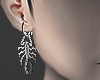 Scorpio silver earrings