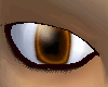 Square Brown eyes