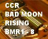 CCR BAD MOON RISING