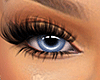 "WILD" - Light Blue Eyes