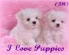 (IM) I Love Puppies