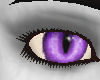 violet cateyes